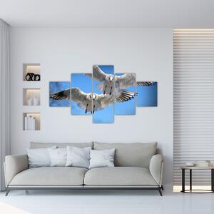Obraz do bytu - vtáky (Obraz 125x70cm)