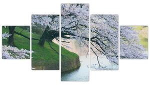 Obraz kvitnúcich stromov (Obraz 125x70cm)