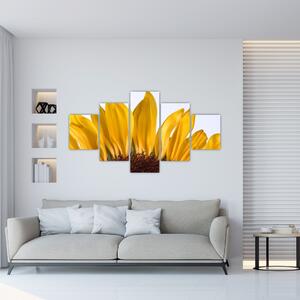 Obraz kvetu slnečnice (Obraz 125x70cm)