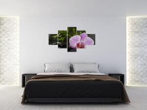 Moderný obraz kvetu (Obraz 125x70cm)