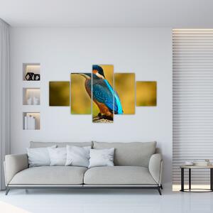 Obraz - farebný vták (Obraz 125x70cm)