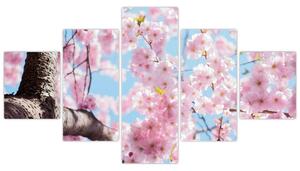 Kvitnúce strom - obraz (Obraz 125x70cm)