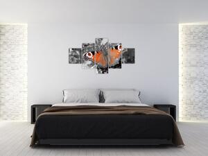 Oranžový motýľ - obraz (Obraz 125x70cm)