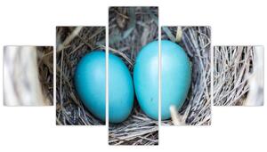Obraz modrých vajíčok v hniezde (Obraz 125x70cm)