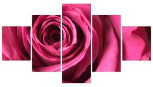 Obraz ružové ruže (Obraz 125x70cm)