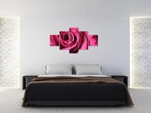 Obraz ružové ruže (Obraz 125x70cm)