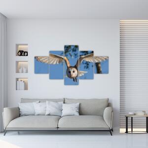 Obraz letiaci sovy (Obraz 125x70cm)
