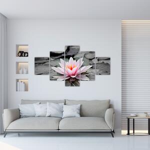 Obraz kvitnúceho lekna (Obraz 125x70cm)