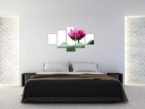 Obraz kvetu (Obraz 125x70cm)