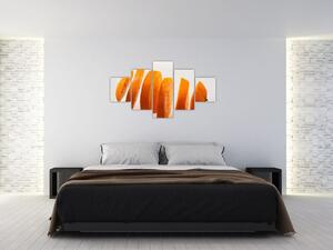 Moderný obraz - dieliky pomaranča (Obraz 125x70cm)