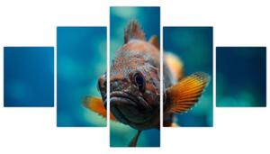 Obraz - ryba (Obraz 125x70cm)