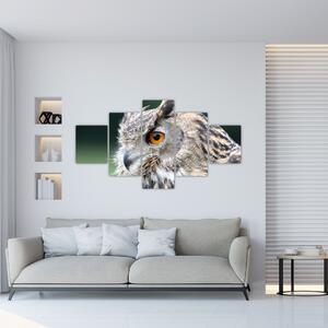 Vyzerajúce sova - obraz (Obraz 125x70cm)