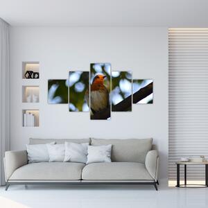 Obraz vtáka na vetve (Obraz 125x70cm)