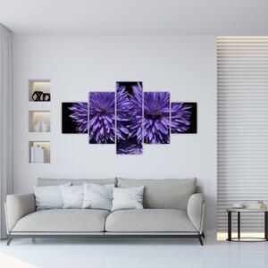 Obraz fialových kvetov (Obraz 125x70cm)