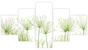 Obraz rastlín na bielom pozadí (Obraz 125x70cm)