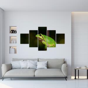 Obraz žaby (Obraz 125x70cm)