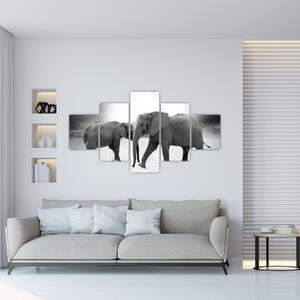 Obraz - slony (Obraz 125x70cm)