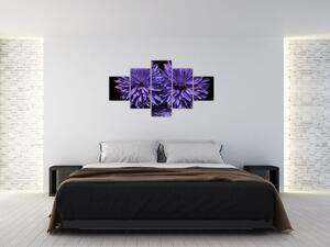 Obraz fialových kvetov (Obraz 125x70cm)