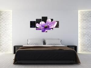 Obraz fialového kvetu (Obraz 125x70cm)