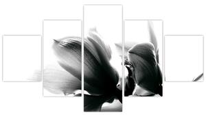 Obraz čiernobielych kvetov (Obraz 125x70cm)