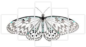 Čiernobiely motýľ (Obraz 125x70cm)