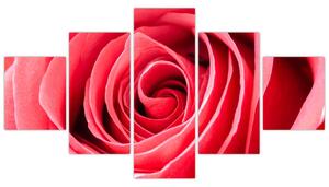 Obraz červené ruže (Obraz 125x70cm)