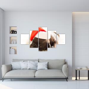 Obraz psa s čiapkou (Obraz 125x70cm)