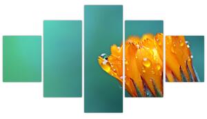 Obraz oranžového kvetu (Obraz 125x70cm)
