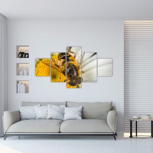 Obraz - detail včely (Obraz 125x70cm)