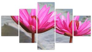 Obraz dvoch kvetov (Obraz 125x70cm)