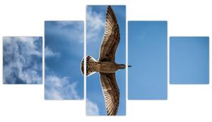 Obraz letiaceho vtáka (Obraz 125x70cm)