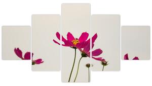 Obraz kvetín na stenu (Obraz 125x70cm)