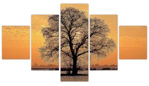 Obraz sa stromom (Obraz 125x70cm)