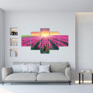 Obraz - polia kvetov (Obraz 125x70cm)