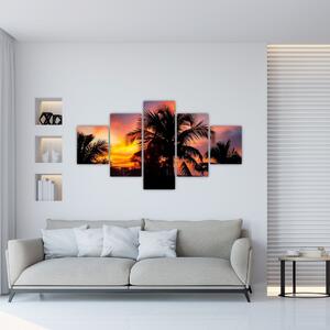 Obraz palmy na stenu (Obraz 125x70cm)