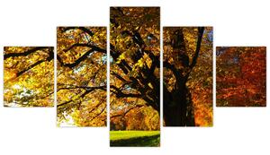 Obraz jesennej krajiny (Obraz 125x70cm)