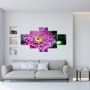 Obraz kvetu na stenu (Obraz 125x70cm)