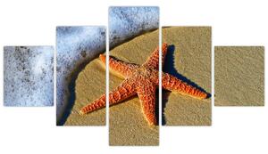 Obraz s morskou hviezdou (Obraz 125x70cm)