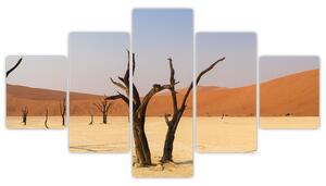 Obraz púšte (Obraz 125x70cm)
