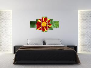 Obraz kvety na stenu (Obraz 125x70cm)