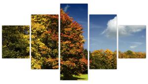 Jesenná krajina, obraz (Obraz 125x70cm)