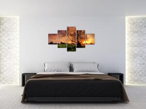Západ slnka, obrazy (Obraz 125x70cm)