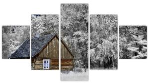Chaloupka v zime, obrazy (Obraz 125x70cm)