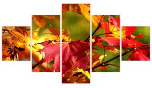 Jesenné lístie, obraz (Obraz 125x70cm)