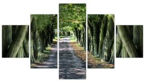 Údolie stromov, obrazy (Obraz 125x70cm)
