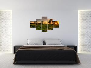 Západ slnka v krajine, obrazy (Obraz 125x70cm)