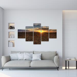 Západ slnka na poli - obraz na stenu (Obraz 125x70cm)