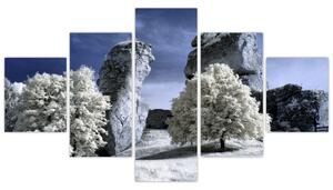 Zimná krajina - obraz do bytu (Obraz 125x70cm)