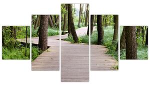 Cesta v lese - obraz (Obraz 125x70cm)