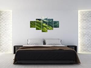 Pohorie hôr - obraz na stenu (Obraz 125x70cm)